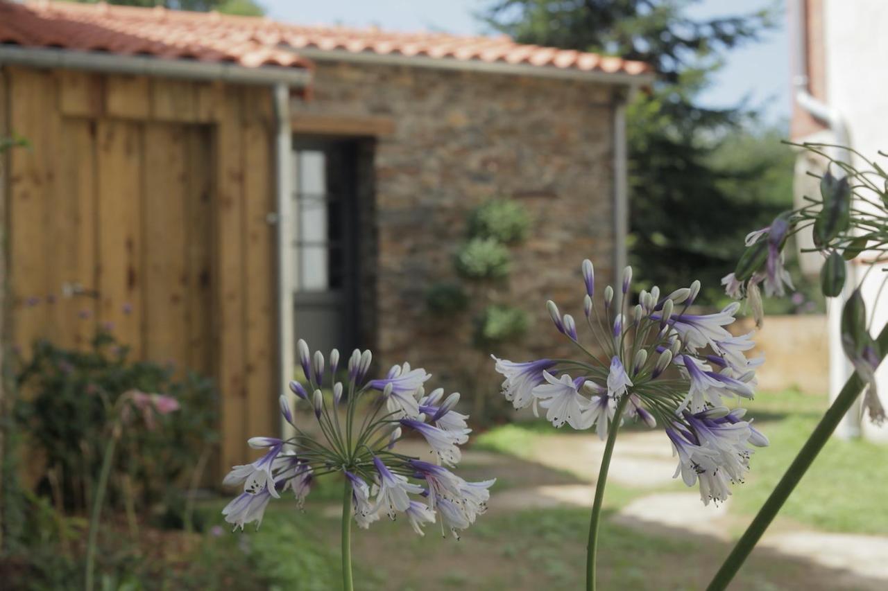 Apartamento La Demoiselle De Bohardy Montrevault Exterior foto
